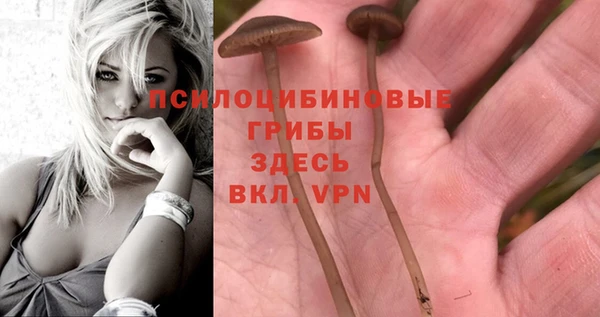 дистиллят марихуана Зеленодольск