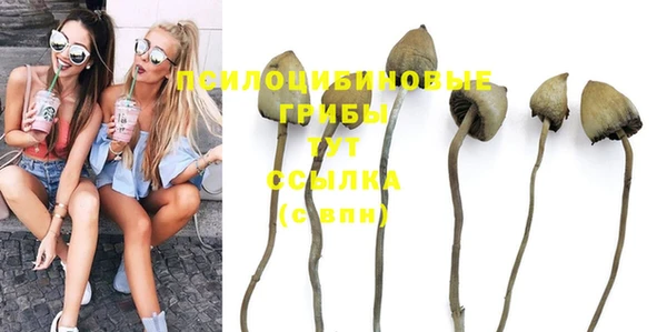 таблы Инта