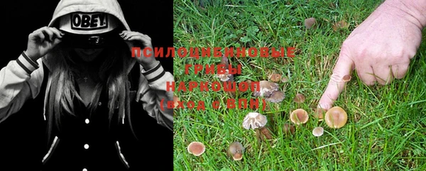 не бодяженный Зерноград